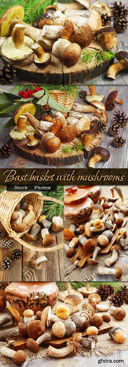 Bast basket with forest mushrooms