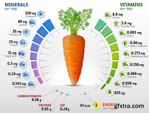 Vitamins and Minerals - 10x EPS