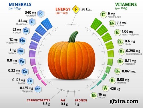 Vitamins and Minerals - 10x EPS