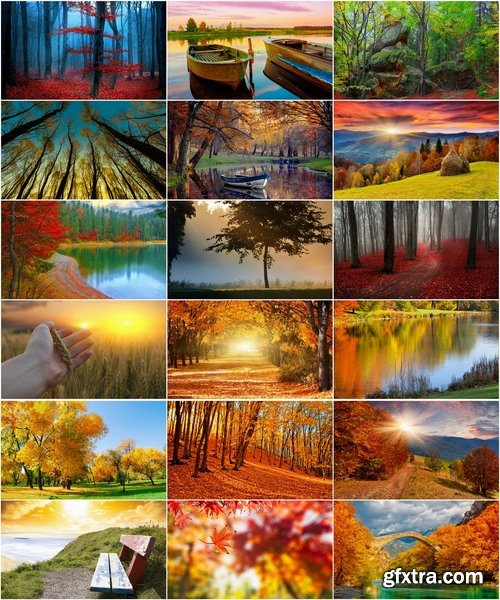 Collection of autumn forest fall landscape mountain nature river meadow yellow leaf 25 HQ Jpeg