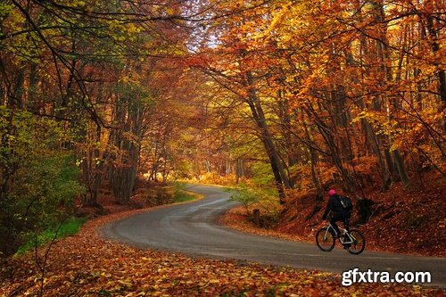 Collection of autumn forest training in air jogging on a yellow sheet of fishing tourism campaign 25 HQ Jpeg