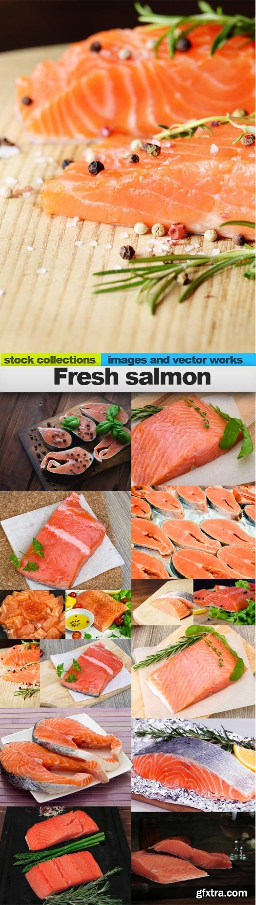 Fresh salmon, 15 x UHQ JPEG