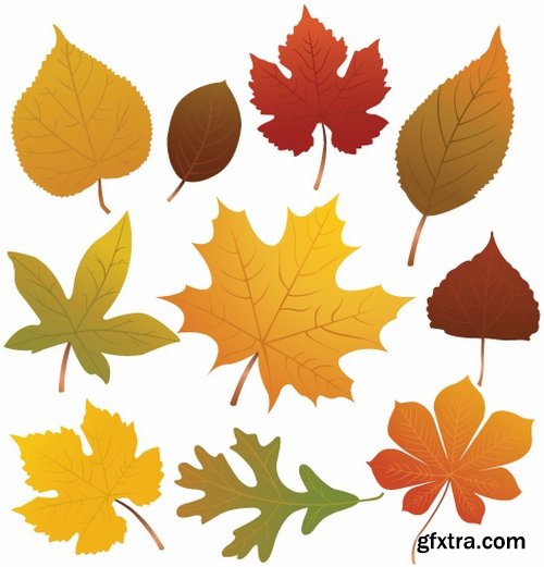 Collection of vector autumn background is a picture poster flyer banner leaf tree 25 EPS