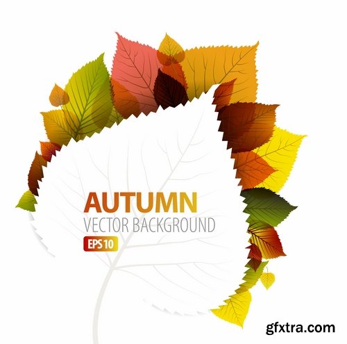 Collection of vector autumn background is a picture poster flyer banner leaf tree 25 EPS