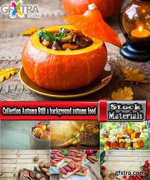 Collection Autumn Still a background autumn dish food mushroom salad vegetables pumpkin 25 HQ Jpeg