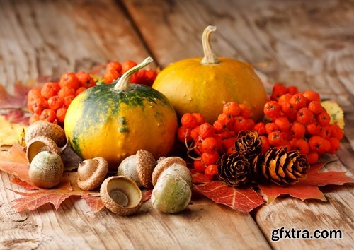 Collection Autumn Still a background autumn dish food mushroom salad vegetables pumpkin 25 HQ Jpeg