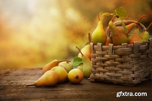 Collection Autumn Still a background autumn dish food mushroom salad vegetables pumpkin 25 HQ Jpeg