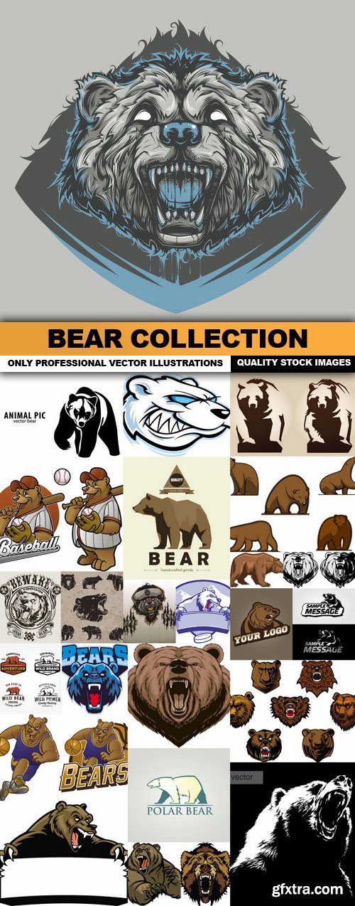 Bear Collection - 25 Vector