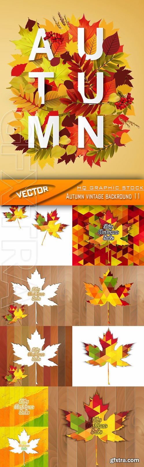 Stock Vector - Autumn vintage backround 11