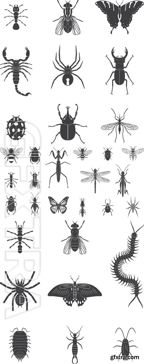 Stock Vectors - Set of vector insects volume