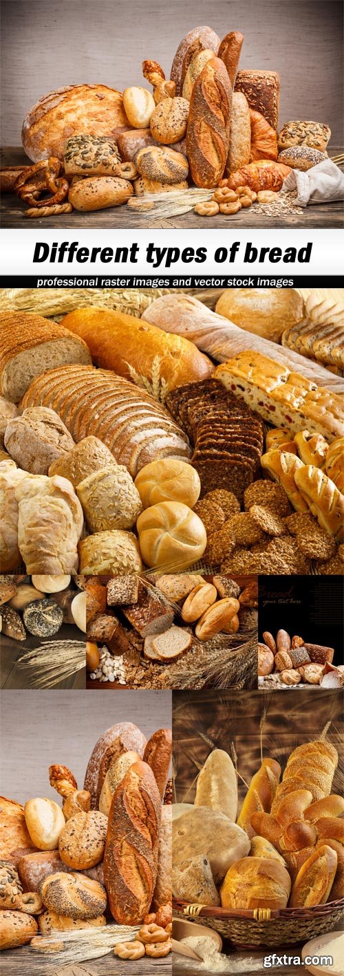 Different types of bread