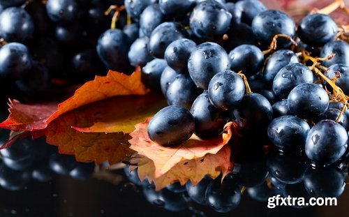 Collection of wine grapes autumn still life bush plantation 25 HQ Jpeg