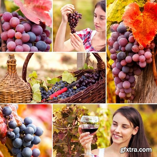 Collection beautiful girl woman with grape berry #2-25 HQ Jpeg