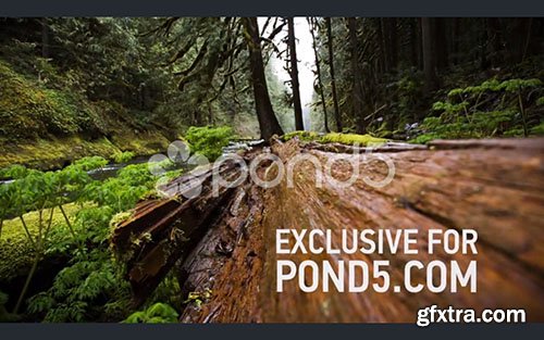 pond5 - Sky Travel Slideshow