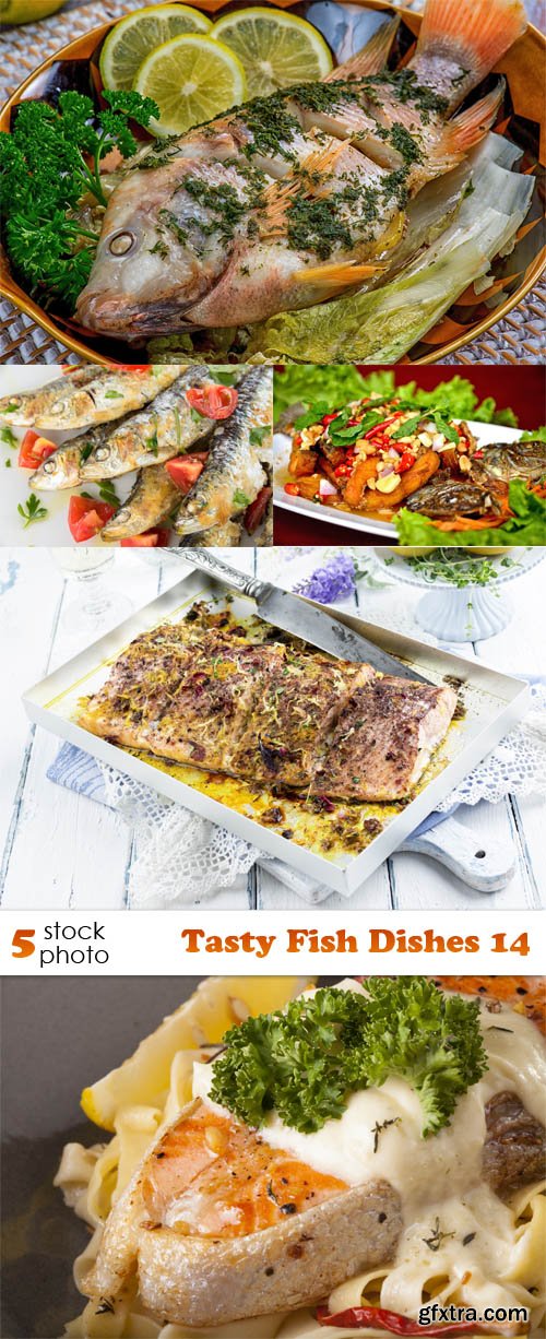 Photos - Tasty Fish Dishes 14