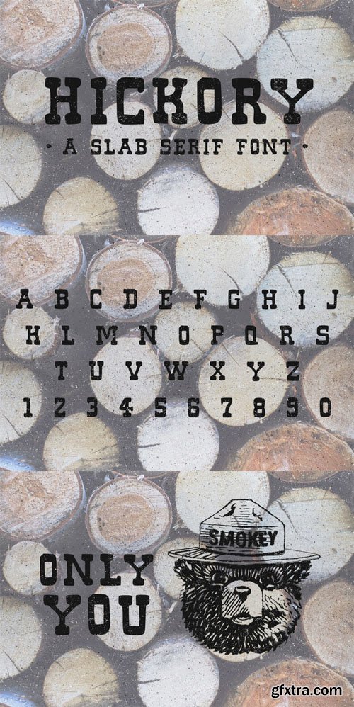 Hickory - Slab Font - CM 87353