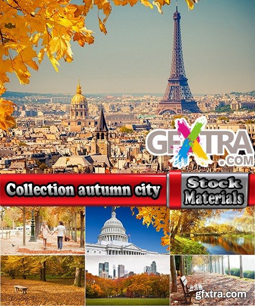 Collection autumn city from around the world yellow leaf forest area 25 HQ Jpeg