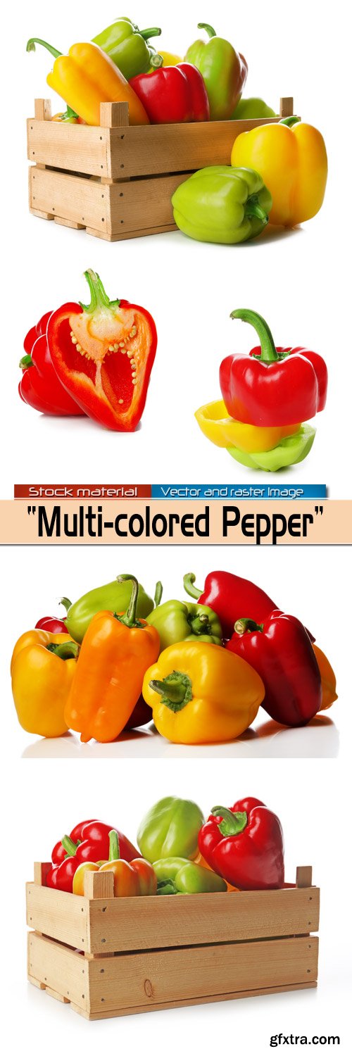 Multi-Colored Peppers in Wooden Box 5xJPG