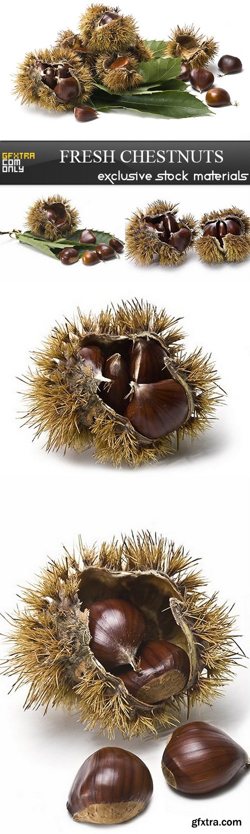 Fresh Chestnuts - 5 UHQ JPEG