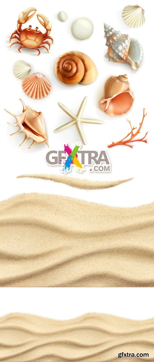 Sand & Seashells Vector