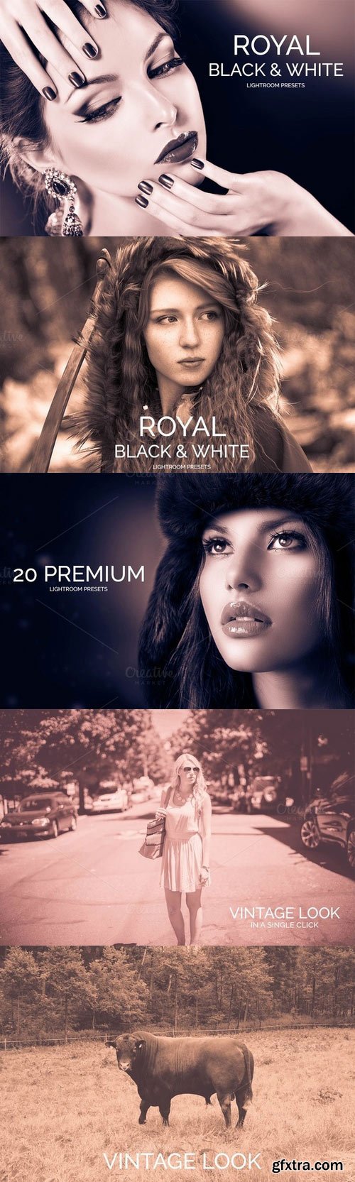 CM - Royal Black&White Lightroom Presets 341895