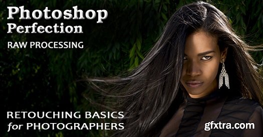 Photoshop Perfection Basic 1: Raw Processing