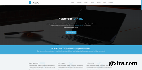 CM - Synero - One page Multipurpose Theme 234381