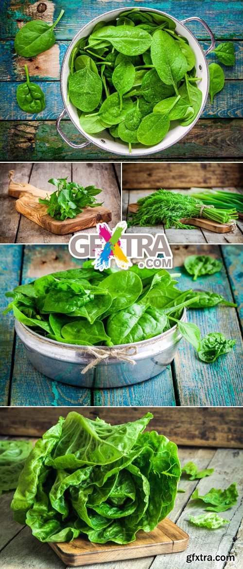 Stock Photo - Green Herbs