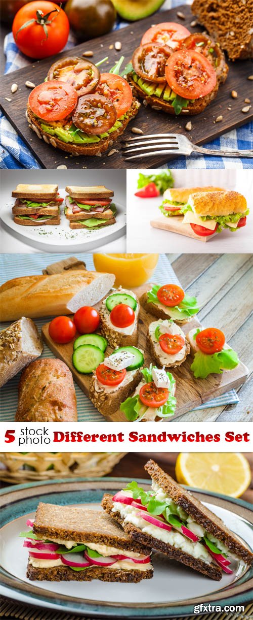 Photos - Different Sandwiches Set