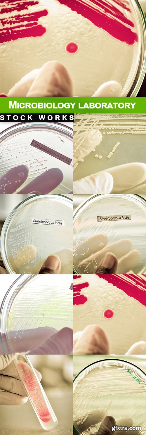 Microbiology laboratory - 8 UHQ JPEG