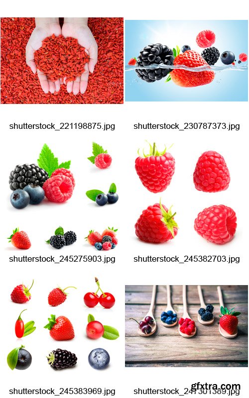 Amazing SS - Fresh Berries, 25xJPGs