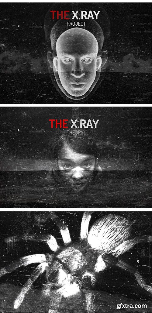 CM 50317 - The X.RAY Theory