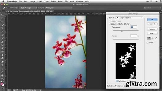 Practical Photoshop Selections