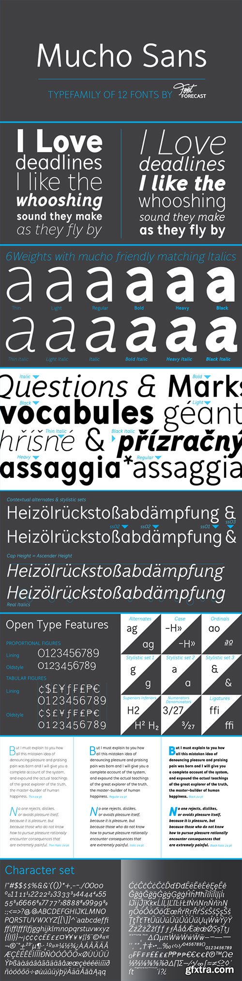 Mucho Sans - NEW Geometric Sans Serif Type Family 12xOTF $89