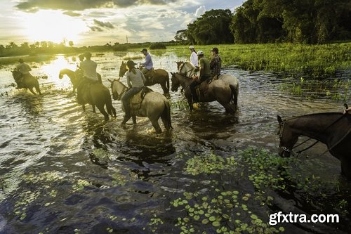 Collection tourism landscape nature sunset sea travel forest thickets India 25 HQ Jpeg