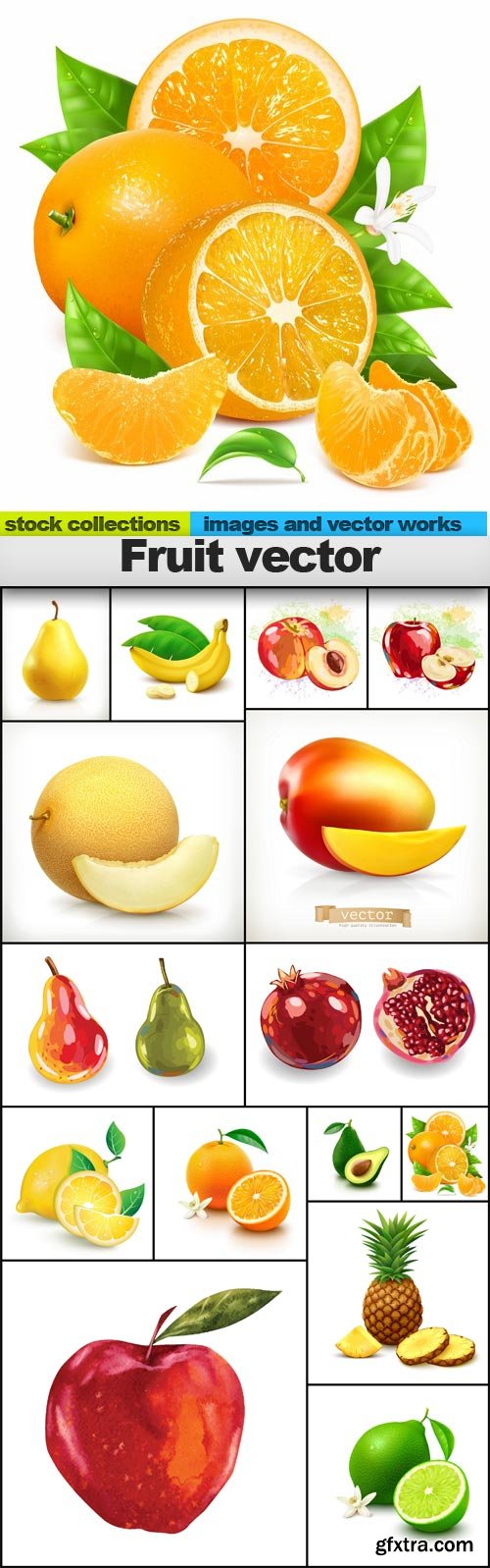 Fruit vector, 15 x EPS