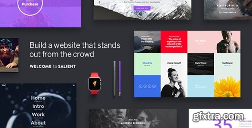 ThemeForest - Salient v6.1.1 - Responsive Multi-Purpose Theme - 4363266