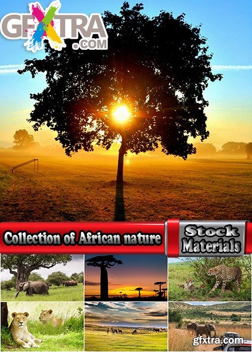 Collection of African nature forest swamp sea sunset elephant lion leopard 25 HQ Jpeg