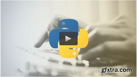 Become a Professional Python Programmer