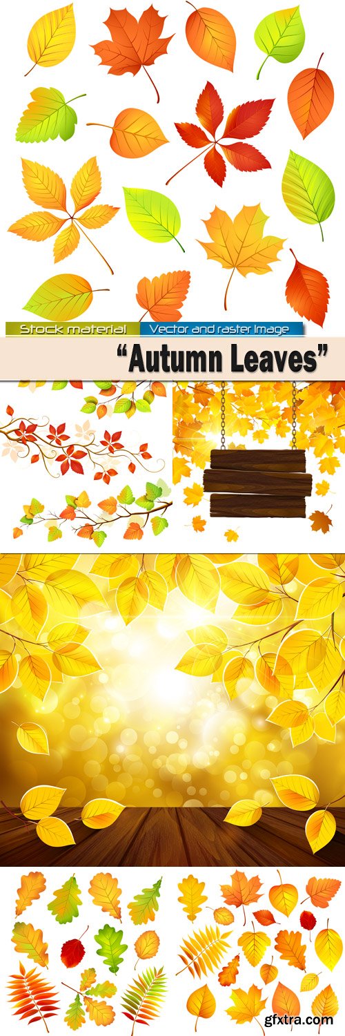 Bright autumn leaves in Vector