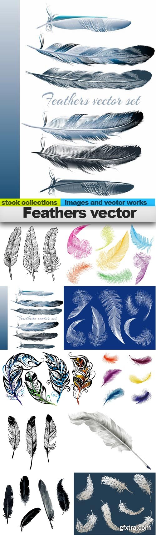 Feathers vector, 10 x EPS