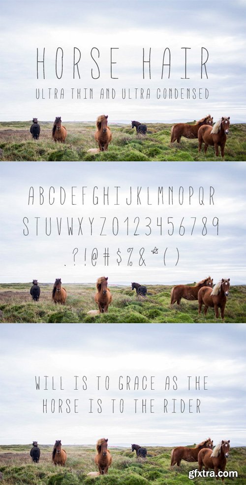 Horse Hair – Ultra Thin Font Face