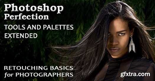 Photoshop Perfection Basic 1: Tools and Palettes Extended