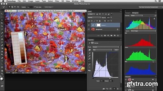 Photoshop Color Correction: Target-Based Corrections