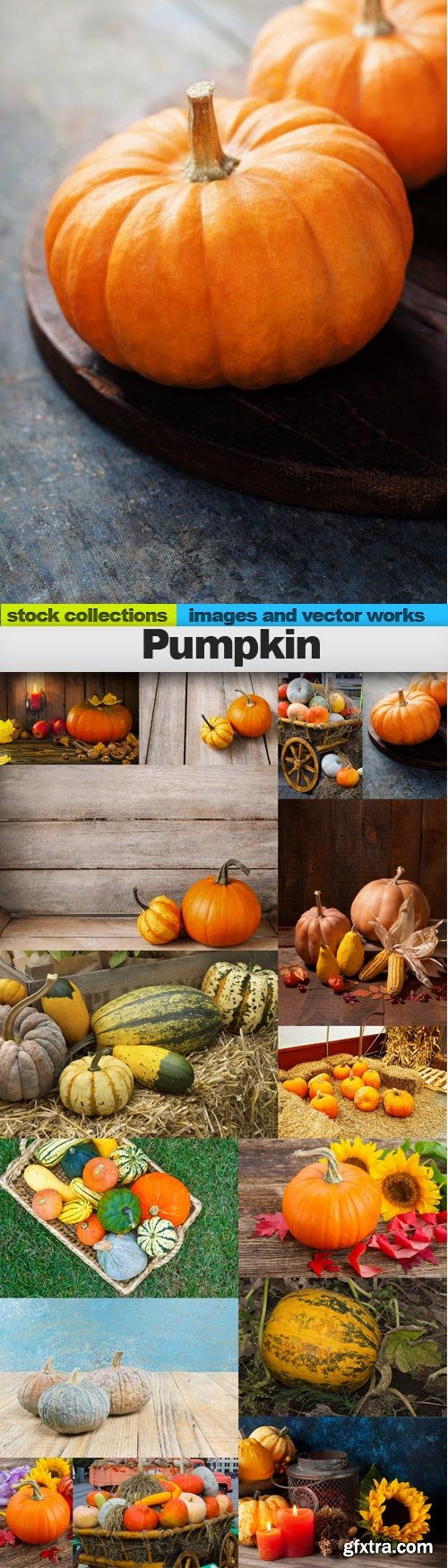 Pumpkin, 15 x UHQ JPEG