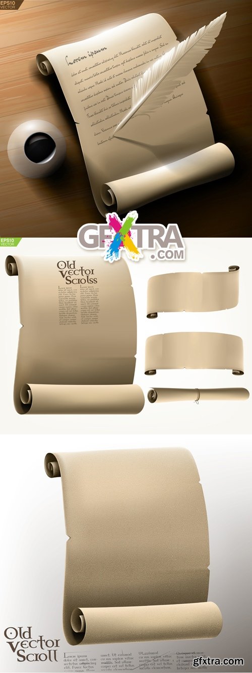 Paper Scrolls Vector