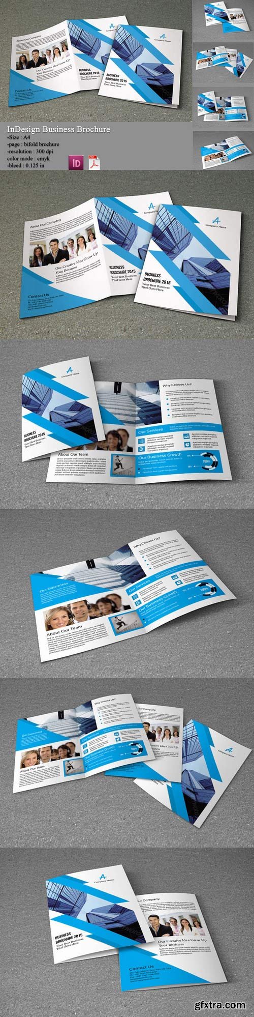 CM - InDesign Business Brochure 348002