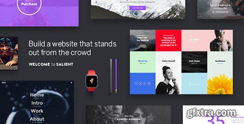 ThemeForest - Salient v6.1.5 - Responsive Multi-Purpose Theme - 4363266