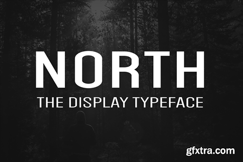 CM NORTH - Display Typeface + Web Fonts 372173 $49