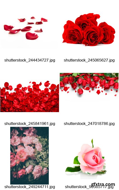 Amazing SS - Beautiful Roses, 25xJPGs